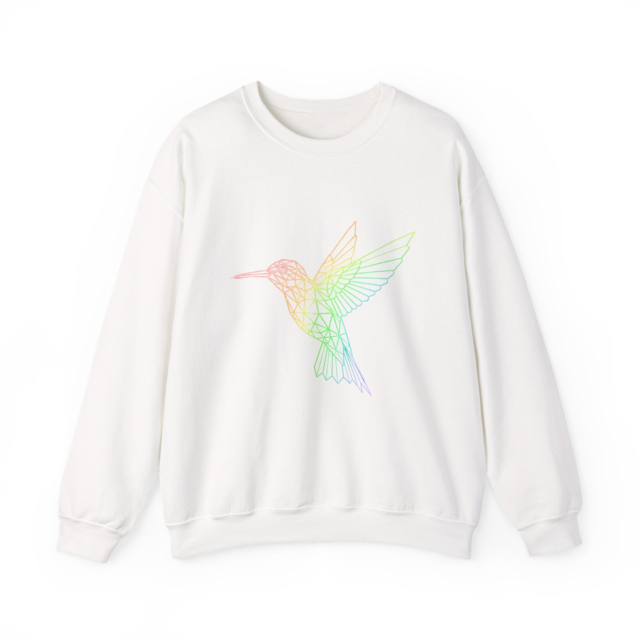 Hummingbird Line Art Crewneck Sweatshirt — Rainbow Minimalist Bird Graphic