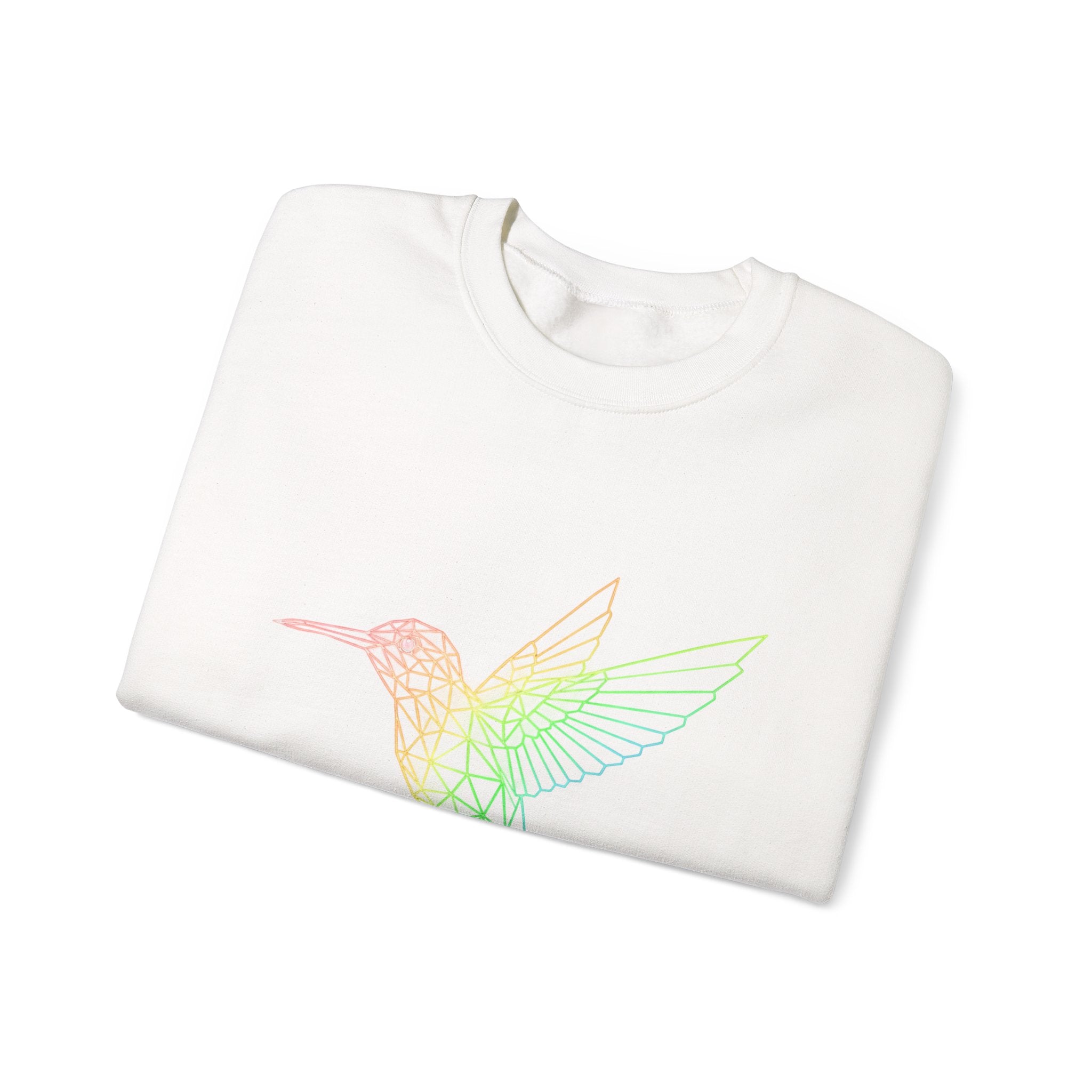 Hummingbird Line Art Crewneck Sweatshirt — Rainbow Minimalist Bird Graphic
