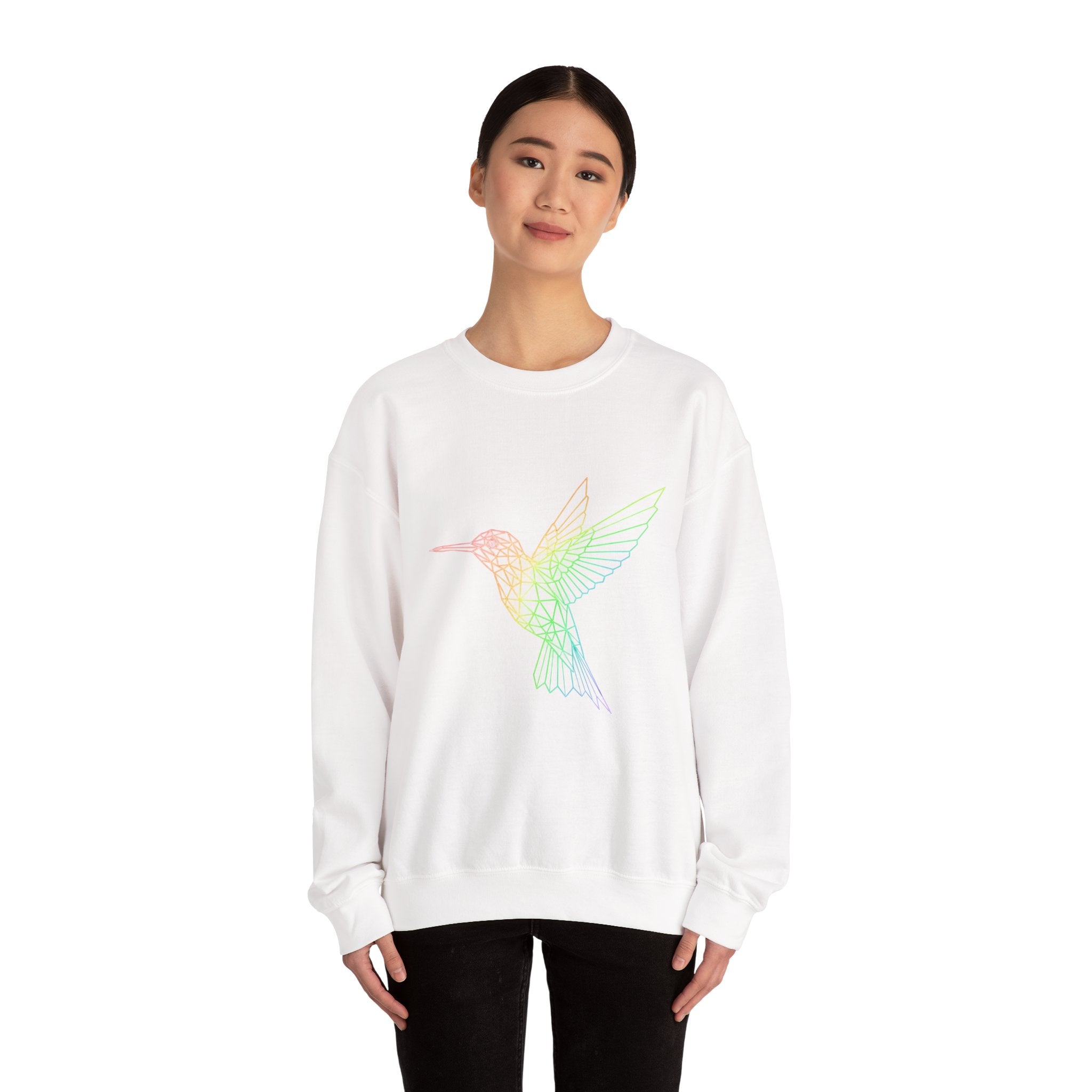 Hummingbird Line Art Crewneck Sweatshirt — Rainbow Minimalist Bird Graphic